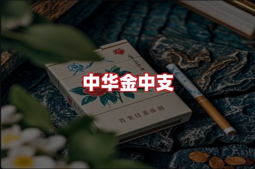 中华金中支